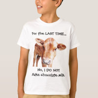 Vache à brun de lait chocolaté