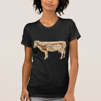 T-shirt Vache mignonne anatomique