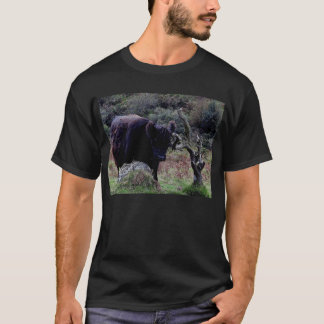 T-shirt Vache noire à Dartmoor Galloway rayant sur l'arbre