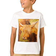 Vaches des montagnes, bétail écossais