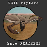 Véritables Rapaces