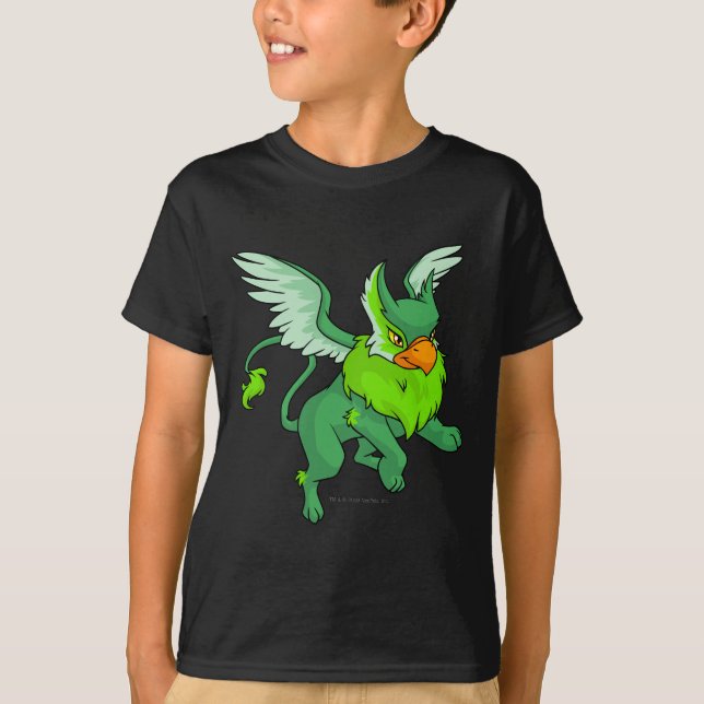 T-shirt Vert d'aire (Devant)