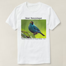 T-shirt vert de Honeycreeper