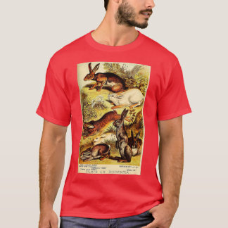 T-shirt Veste - Lièvre - Lapin sauvage - Lithogra Vintage