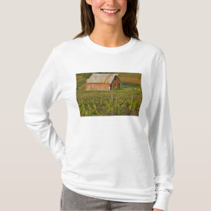 T-shirt Vieille grange rouge au bord du vignoble de Zinfan