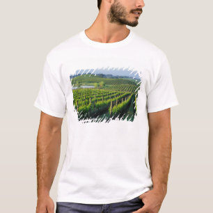 T-shirt Vignes en rangées nettes dans le Napa en Californi