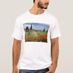 T-shirt Vignoble près de Montalcino, Toscane, Italie
