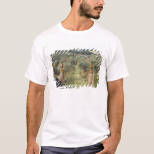 T-shirt Vignobles, Toscane, Italie