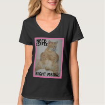 Vous Avez Besoin De Café Juste Miow ! Chat Manx Sl