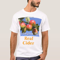 Vraie pièce en t de cidre