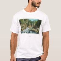 Vue d'abîme d'Ausable près de la tête de