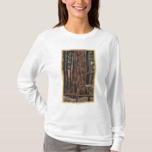 T-shirt Vue de "briseur de cou" au grand parc d'arbres