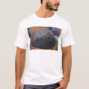 T-shirt Vue de vrai Plymouth Rock