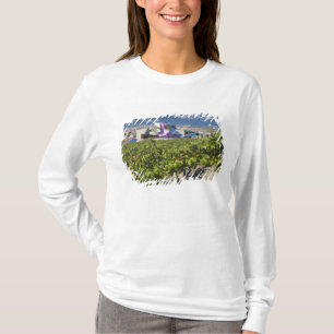 T-shirt Vue dégagée sur la ville et Hôtel Marques de Risca