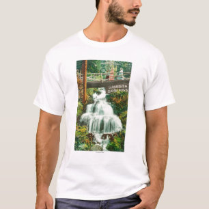 T-shirt Vue des ressorts inférieurs de FallsShasta, CA