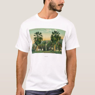 T-shirt Vue des ressorts jumeaux de PalmsParaiso, CA
