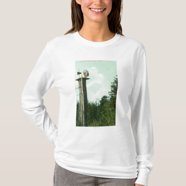 T-shirt Vue d'un vent MillEureka, CA de séquoia (Devant)