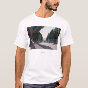 T-shirt Vue orientale sur StreetLewiston principal,