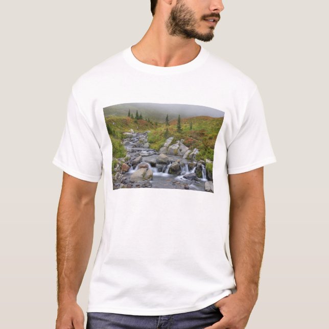 T-shirt WA, Parc national du Mont-Rainier, ruisseau Edith (Devant)
