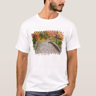 T-shirt WA, Seattle, arboretum du Washington Park,