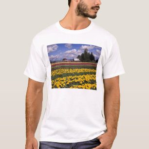T-shirt WA, Skagit Valley, Skagit Valley Tulip