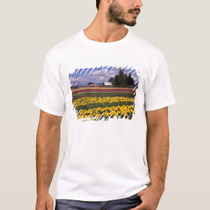 T-shirt WA, vallée de Skagit, Tulipe de la vallée de Skagi