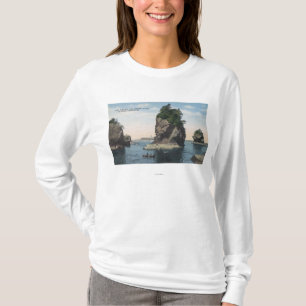 T-shirt Washington - vue de flatterie et de Tatoosh de cap