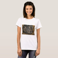 Wombat de sommeil