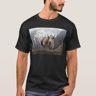 T-shirt Yaks au Népal