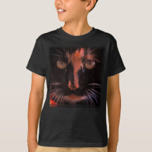 Yeux de chat