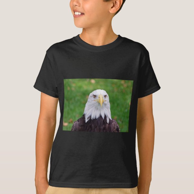T-shirt Yeux d'un aigle chauve (Devant)