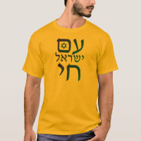 Yisrael Chai