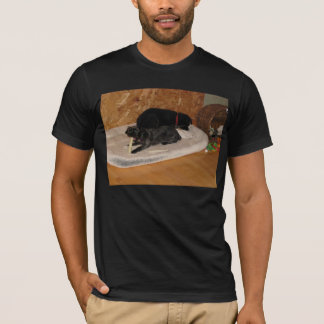 T-shirt Yorkie-Poo adorable