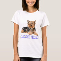 Yorkshire Terrier Chien Chien Chien Chien Chien à