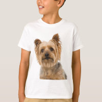 Yorkshire Terrier Puppy Dog Love Yorkies Kids