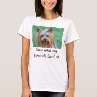 Yorkshire Terrier Yorkie Guess Race préférée