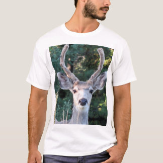 T-shirt Young Buck Shirt