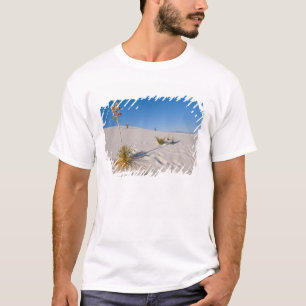 T-shirt Yucca elata, ombre longue, dunes transversales