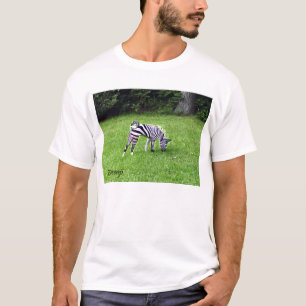 T-shirt Zebrasenji