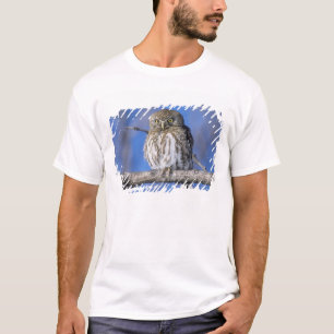 T-shirt Zimbabwe. Gros plan sur un hibou tacheté de perle