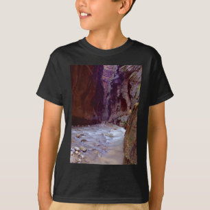 T-shirt Zion rétrécit le randonnée par la rivière dans le