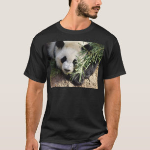 T-shirt Zoo Atlanta d'ours panda @