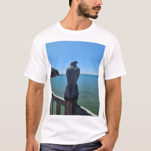 T-shirts basiques Aigle