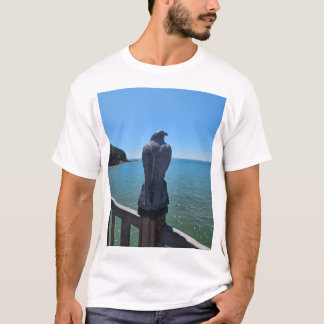 T-shirts basiques Aigle