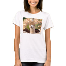 T-shirts d'alpaga