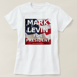 T-shirts de Levin de marque d'ébauche