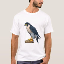 T-shirts pour hommes Faucon pèlerin
