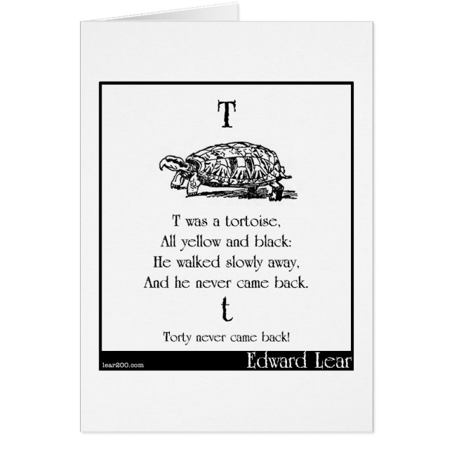 T was a tortoise (Front)