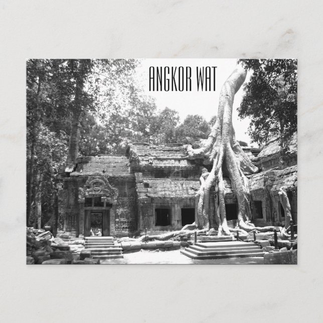 ta prohm angkor postcard (Front)