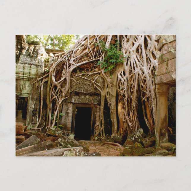 Ta Prohm Postcard (Front)